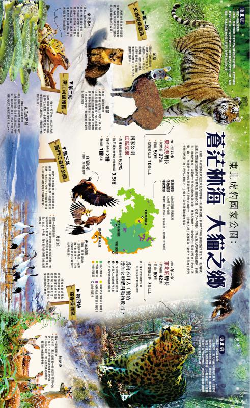 天顺登录：﻿东北虎豹国家公园：苍茫林海 大猫之乡